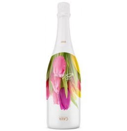 Игристое вино Blossom Cava Brut, gift design