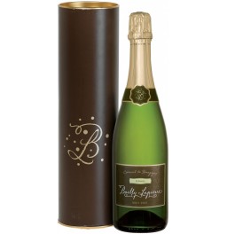 Игристое вино Bailly-Lapierre "Egarade" Brut, Cremant De Bourgogne AOC, 2007, gift box