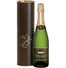 Игристое вино Bailly-Lapierre "Egarade" Brut, Cremant De Bourgogne AOC, 2008, gift box