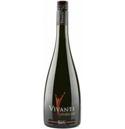 Игристое вино Vivante Lambrusco Brut